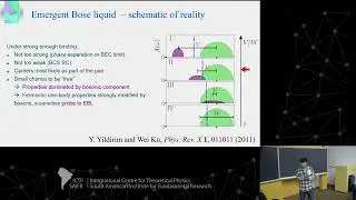 Wei Ku - Robustness of geom. frustration-induced local. and realiz. of homogen. quantum Bose metal