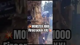 MONSTER 1000g XXL FIRECRACKER💥🌲#youtube #tricks #firecracker