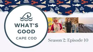 What's Good Cape Cod:  Lissy Perna | Dot to Art Workshop | Capeology