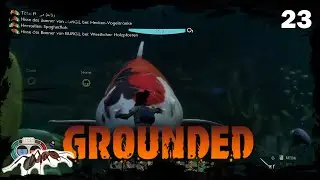 Grounded 🐞 E23 &ndash; Hoops wurde vom Koi gekoilt&hellip;