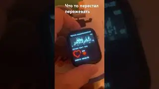 20 ноября 2023 г.