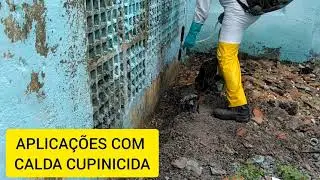 Barreira química contra cupins