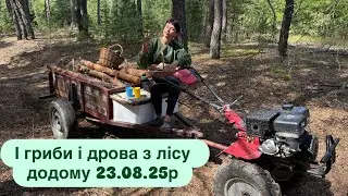 І гриби і дрова все з лісу додому. 😱Обід на камені. День народження Саши. День прапора України 🇺🇦❤️