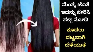 ಮೆಂತ್ಯೆ ಜೊತೆ ಇದನ್ನು ಸೇರಿಸಿ ಪುಡಿಮಾಡಿ ಹಚ್ಚಿ  ನಿಮ್ಮ ಕೂದಲು ದಟ್ಟವಾಗಿ ಉದ್ದವಾಗಿ ಬೆಳೆಯುದರಲ್ಲಿ ಅನುಮಾನ ಬೇಡ