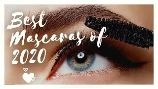 6 Best Mascara of All Time in 2020