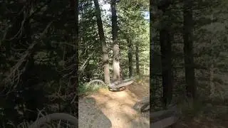 Chaos auf dem Trail😂 #ckmtb #mountainbike #mtb #shortvideo #shorts #short #viral #livigno #share