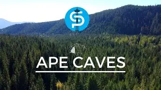 Ape Caves in Cougar Washington Reservations - Ape Cave Interpretive Site