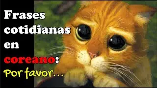Frases básicas en coreano para la vida diaria - cómo se dice 