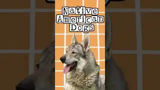 Native American Dogs