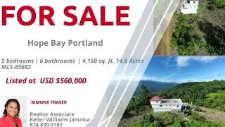 🏡 FOR SALE: 14.6 Acres in Portland, Jamaica – Rare Investment Opportunity!
