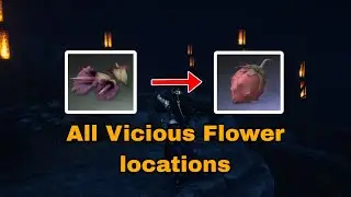 WHERE WINDS MEET GUIDE: Best Vicious Flower Farming Route!
