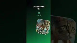 aprobado,aprobado,no lo s&eacute; aprobado, aprobado noooo ahora es ilegal