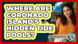Where Are Coronado Island's Hidden Tide Pools? - Everything About San Diego