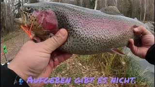 Unfassbarer Fang! Forellen-Action bei Fisch Otto 🎣