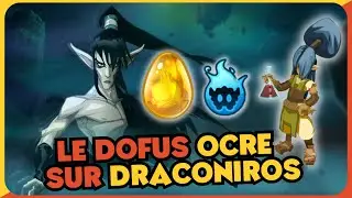 LE GUIDE DU DOFUS OCRE EN MONOCOMPTE