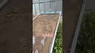 How do you clean solar panels?#solarpanel #solarsystem #cleaning