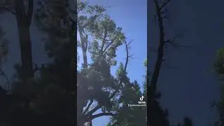 Video sugerido