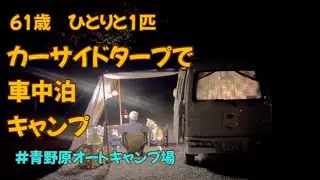 【カーサイドタープで車中泊】61歳ひとりと1匹車中泊キャンプ#青野原オートキャンプ場