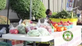 magic tree Magic Market new