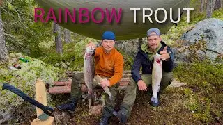 Rainbow Trout Catching - Fishing in Sweden