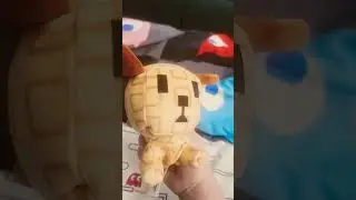 Лучший день в моей жизни! #шорты