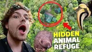 INSIDE A SECRET WILDLIFE STATION IN CAMBODIA 🐾🇰🇭 | WILD TRIPS