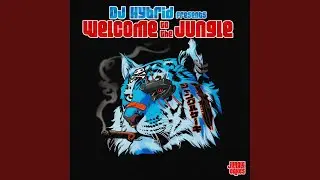 Oldskool Newskool (Extended Mix)