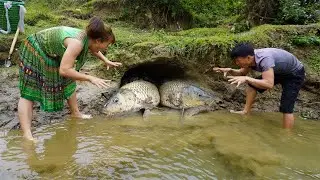 Primitive Life - Dig Hole Underground To Build Fish Trap Catch Fish - Wild Fishing, Free Bushcraft
