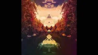 Weedpecker - Embrace