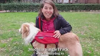 MOCHILA para perros SINGLETRACK PACK Ruffwear