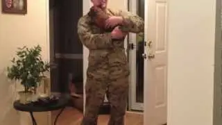 Soldier welcomed home from deployment by mini dachshund
