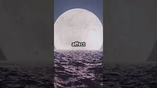 Super Moon Curiosities  Mind Blowing Fact