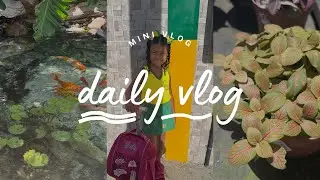VLOG ROTINA | Uma manh&atilde; cmg + faxina e natureza 