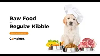 Raw Food Versus Regular Kibble