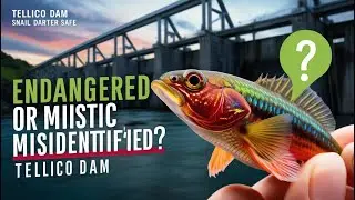 Was the Snail Darter Ever Really Endangered? Controversial Study Shakes Conservation Laws