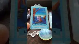♌️ LEO April 2024 Energy Oracle Card #leo #oraclemessages
