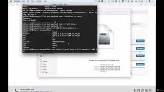2.2  Start MySQL Server and Login