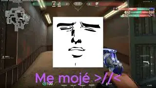 Big Brain Sova Main
