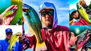 Итоги тура Big Bass 2020!