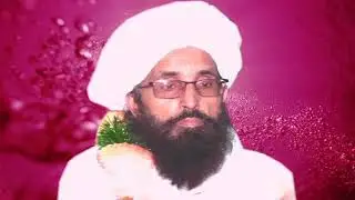 Dil se ye dekha pakistan paroa rally mufti saheb