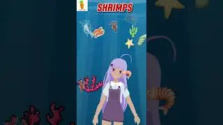 Shrimp - Engaging Sea Life Song for Kids | Cuteni Song For Kids - Animal #short #shrimp