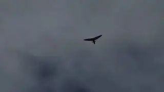 Two Microlights Flying Near Brize Norton