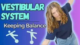 What Is the Vestibular System?