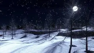 1 Hour Night Snowfall in the Woods, Quiet Winter Ambience for Sleep and Relaxation
