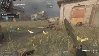 Watching COD Players in Their Natural Habitat