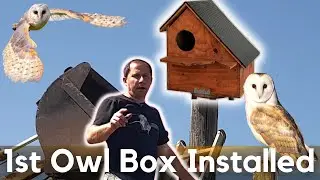 Barn Owl Box How to Make and Install on a poll. Owls Nestbox