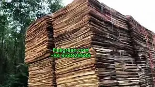 Acacia Core Veneer Vietnam( V&aacute;n b&oacute;c keo)
