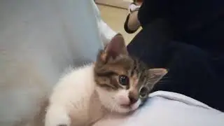 bet mo ba ang pussy ko??