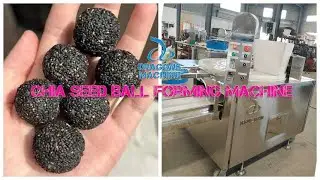 Chia Seed Ball Forming Machine