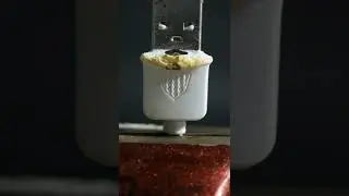 macro video the top #macro #satisfying #shorts #youtubeshorts